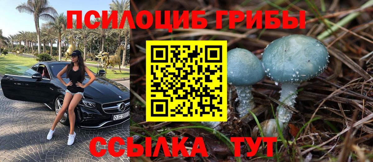 Галлюциногенные грибы мухоморы Приморско-Ахтарск