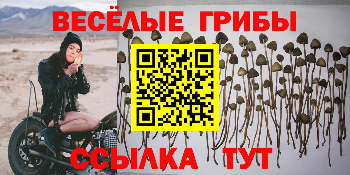 Приморско-Ахтарск  Псилоцибиновые грибы прущие грибы  Вход с VPN 